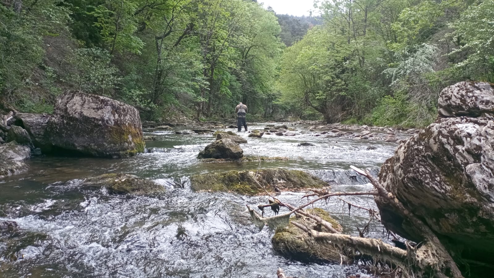 Se celebró el Campeonato Navarro Salmónidos Mosca